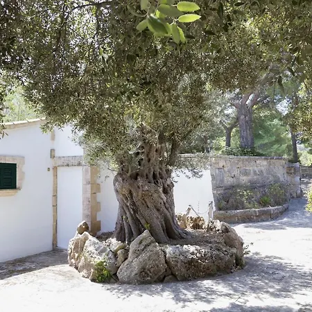 Holiday home Gran Voramar Cala